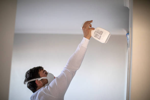 Best Basement Mold Remediation in Shenandoah, PA